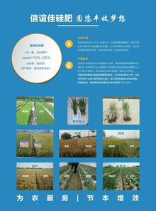 增产效果明显,信谊佳硅肥热销市场