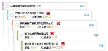 马鞍山信谊实业有限责任公司