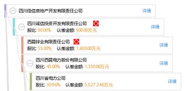 四川佳信房地产开发有限责任公司