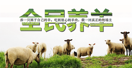 全民养羊-城市公司启动仪式暨会员答谢会