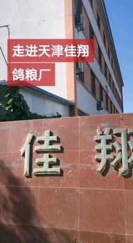 货车一排排 天津佳翔信鸽用品