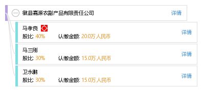 徽县嘉源农副产品有限责任公司 工商信息 信用报告 财务报表 电话地址查询 天眼查