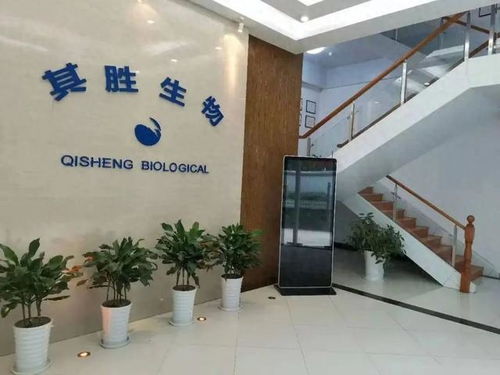 用于眼科 骨科 外科的这些 让人们放心的产品 ,出自闵行这家企业