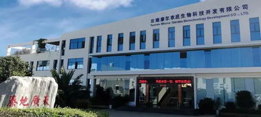 2019年云南 十大名品 出炉 大理这些品牌上榜