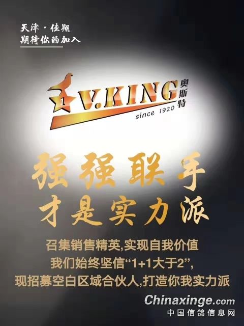 二月二龙抬头,女神节里出彩头, 天津佳翔信鸽用品